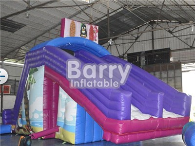 Commercial Grade Penguin Logo Purple Inflatable Water Slide For Pool BY-WS-076 